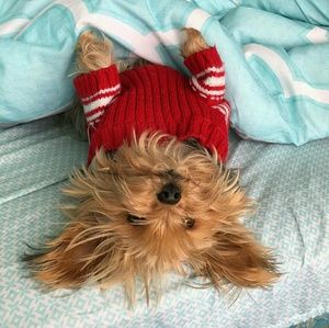 Meet your Posher, Alma